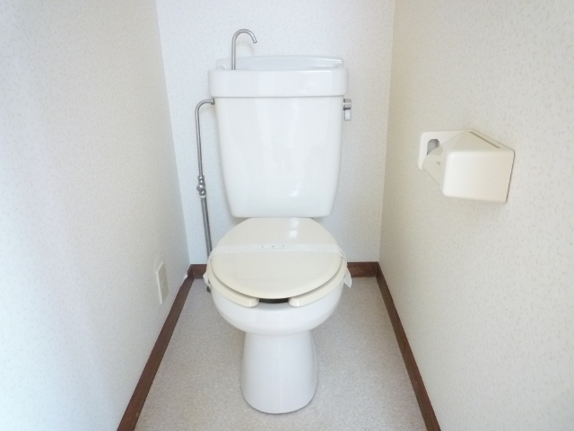 Toilet. It is very beautiful!