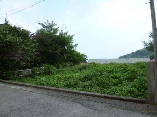 Local land photo. Local land photo (August 2013) Shooting