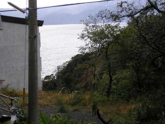 View photos from the local