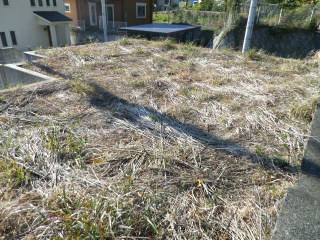 Local land photo. Local (12 May 2013) Shooting