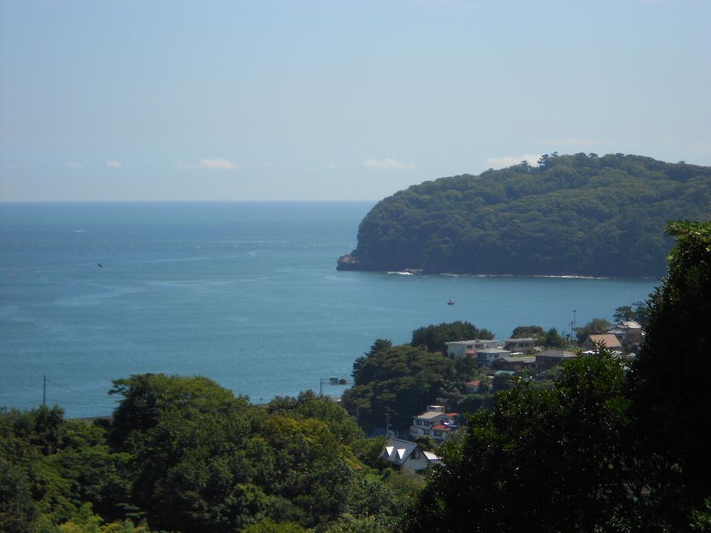 View photos from the local