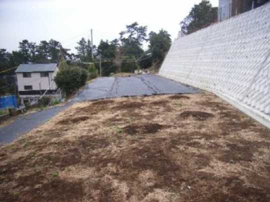 Local land photo. local