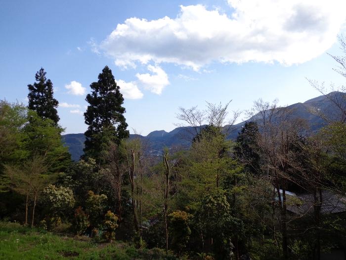 View photos from the local