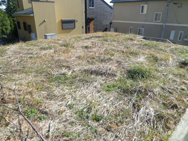 Local land photo. Local (12 May 2013) Shooting