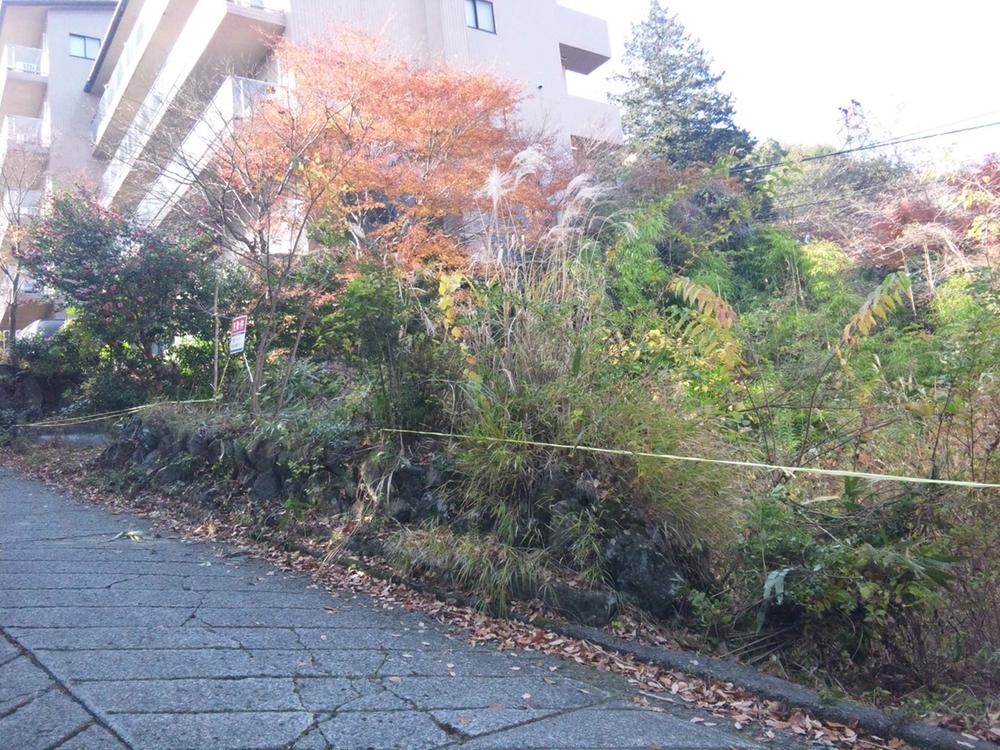 Local photos, including front road. local