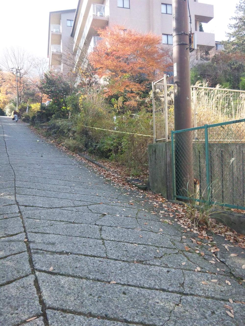 Local photos, including front road. Local (11 May 2011) Shooting