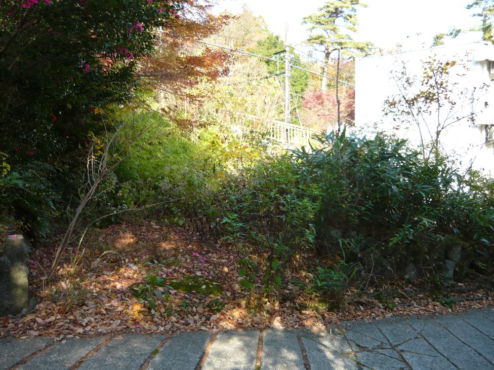 Local land photo. Local (11 May 2011) Shooting