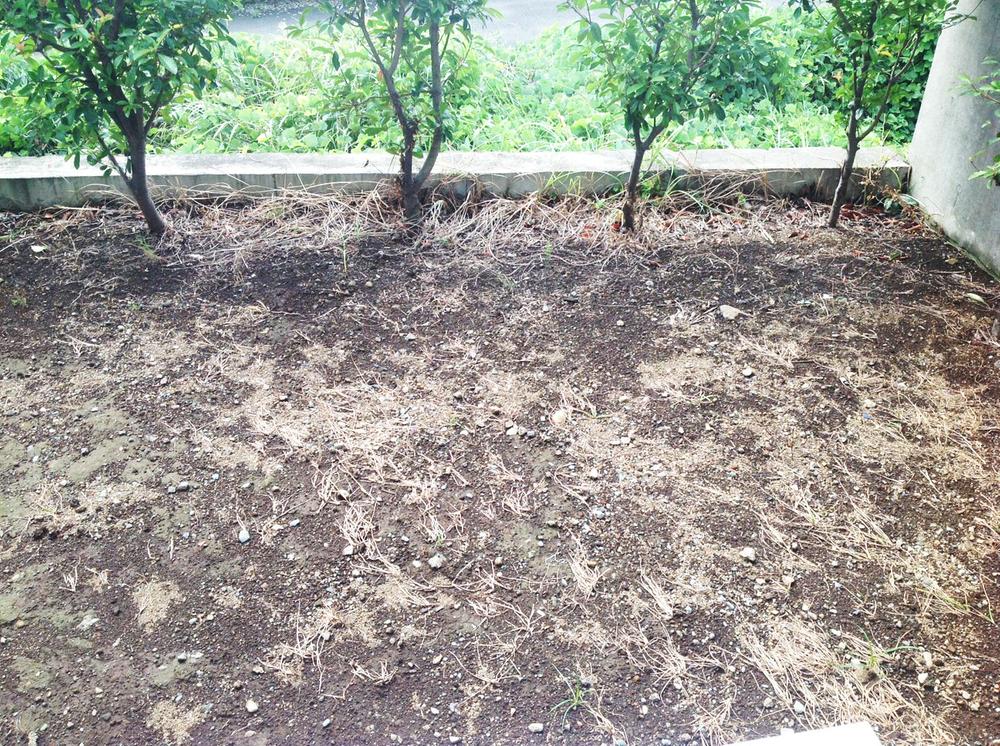 Garden. Garden (September 2013) Shooting