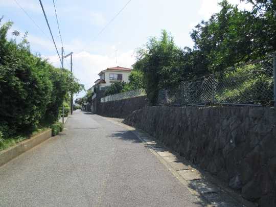 Local land photo. East side road Seddo part. The property is the orchard in front. 