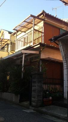 Local land photo. Appearance (1)