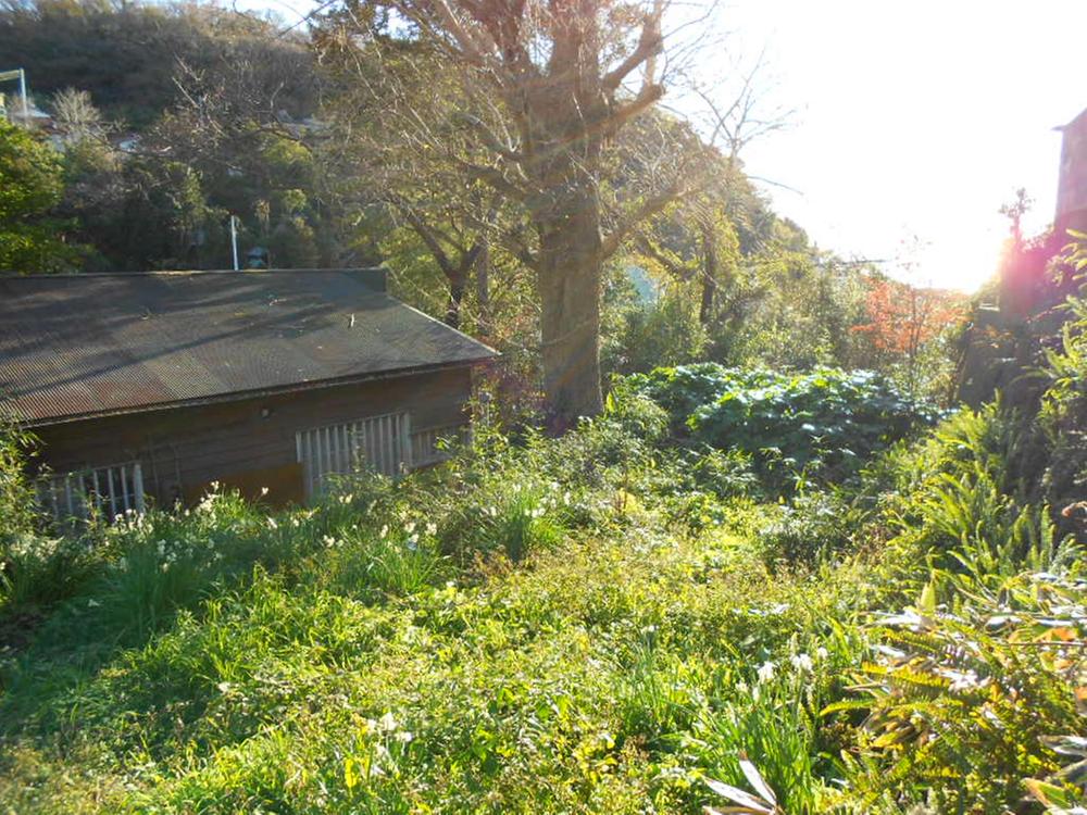 Local land photo. Leafy residential environment sunlight plug!
