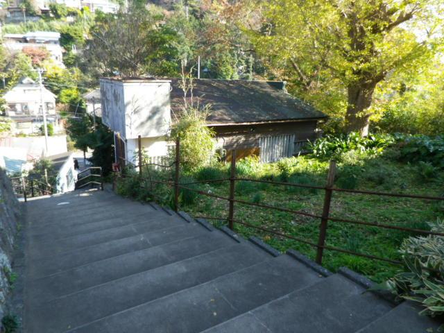 Local photos, including front road. Local (12 May 2013) Shooting