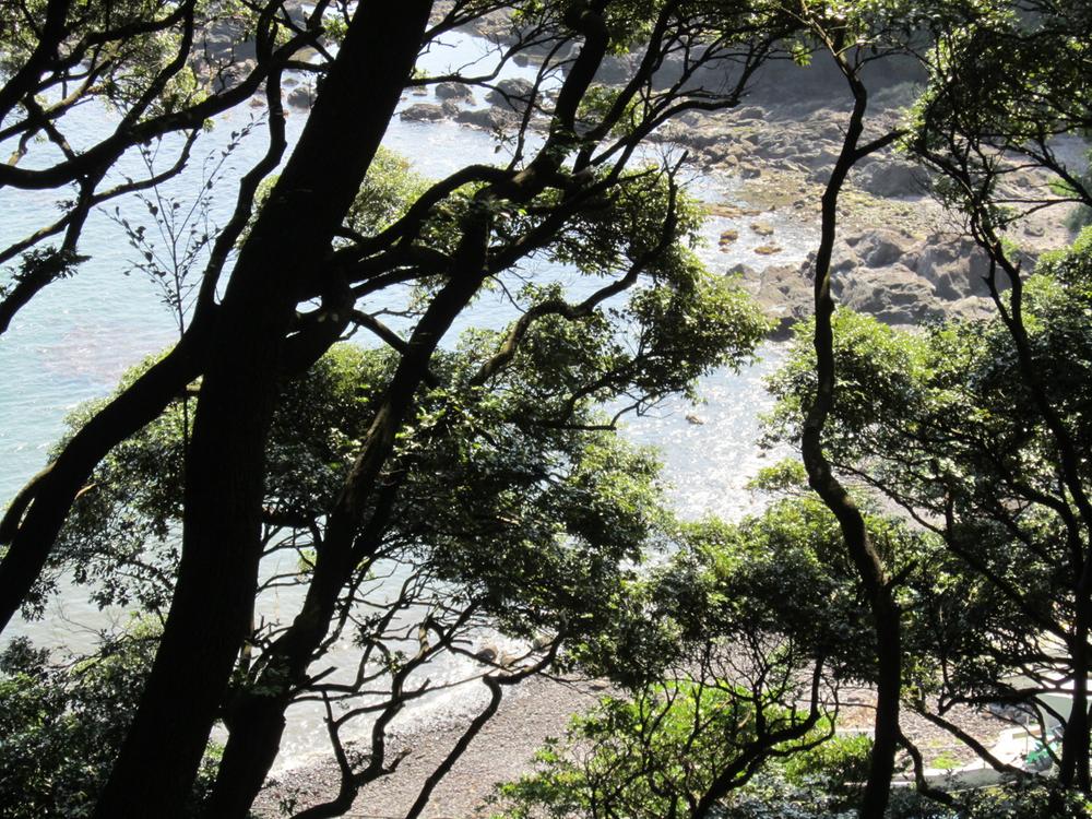 View photos from the local