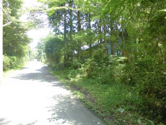 Local land photo. There site area 323.9 square meters.