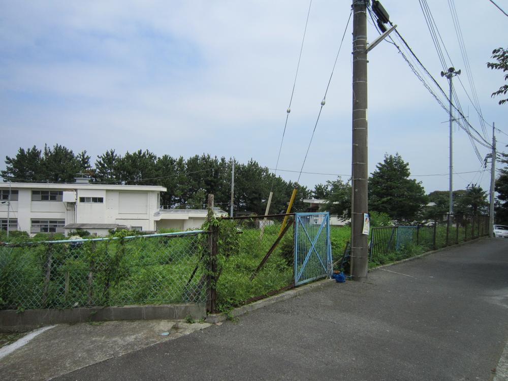 Local photos, including front road