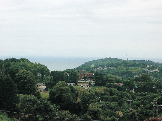 View photos from the local