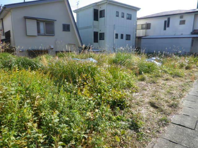 Local land photo. Local (12 May 2013) Shooting