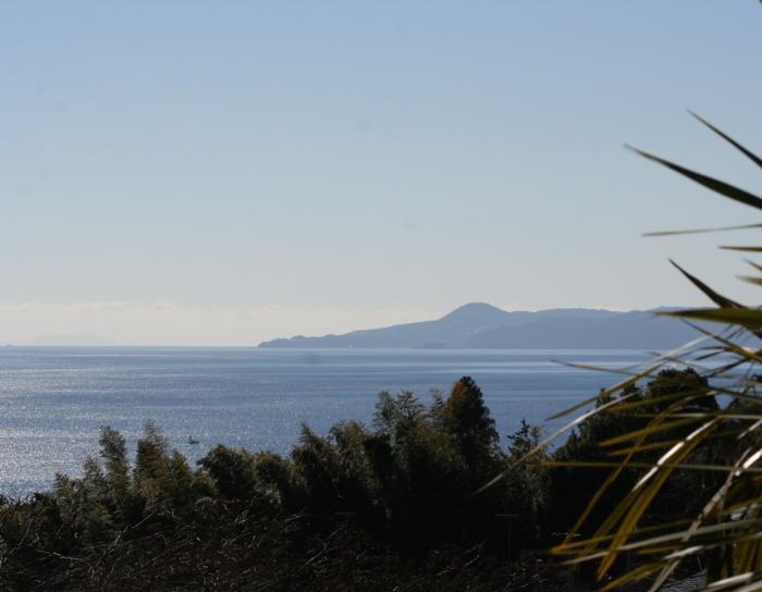 View photos from the local