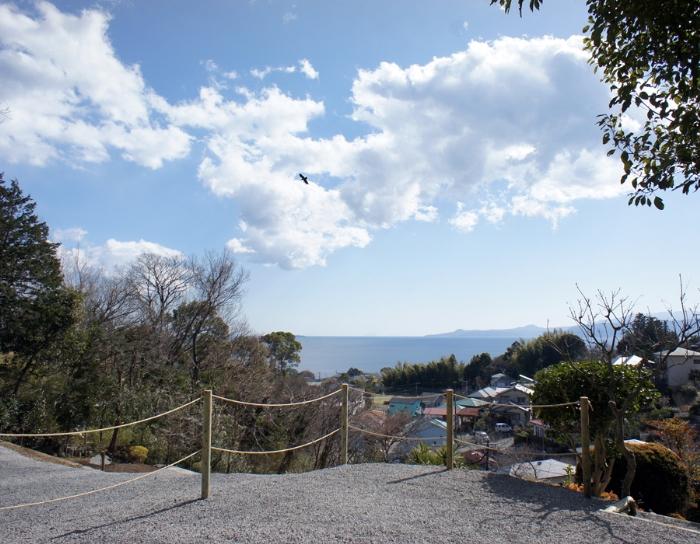 View photos from the local