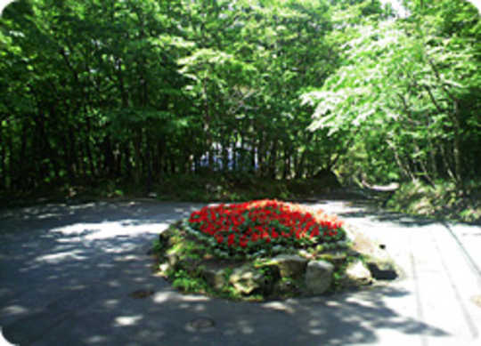 View photos from the local