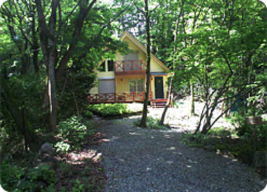 View photos from the local