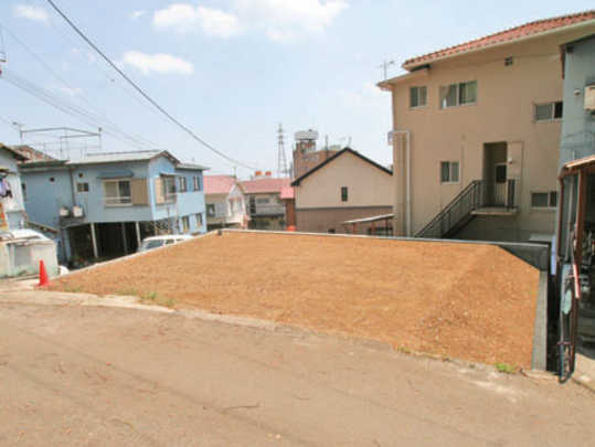 Local land photo. Local photos, including front road