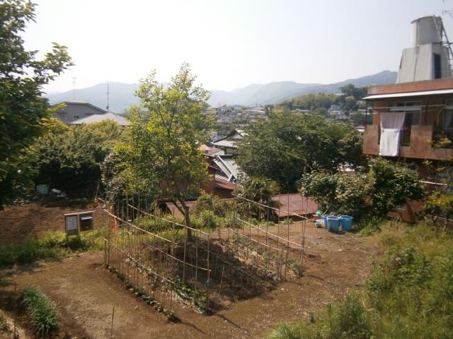 Local land photo. Local (May 2013) Shooting