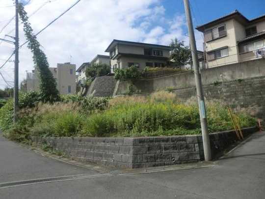 Local land photo. Local photo (from the east)