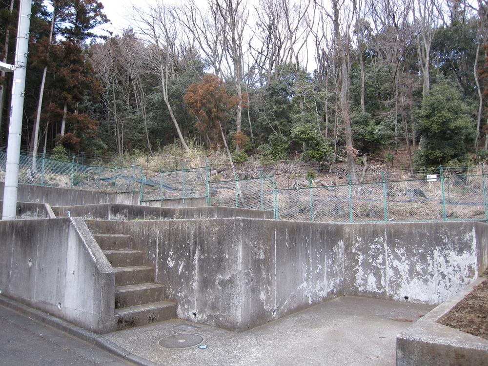 Local land photo. C compartment