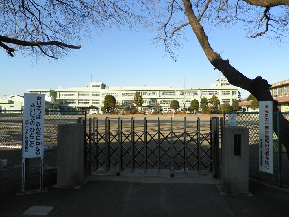 Primary school. North Elementary School