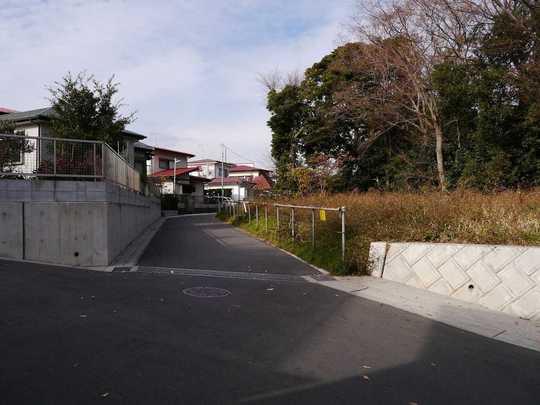 Local photos, including front road