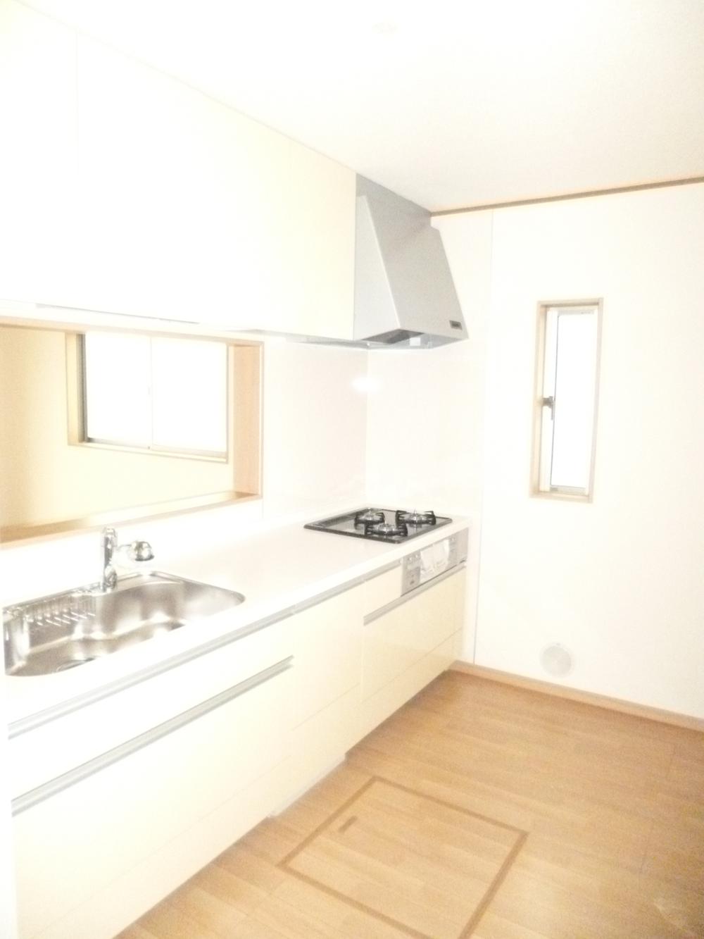 Kitchen. Popular face-to-face kitchen