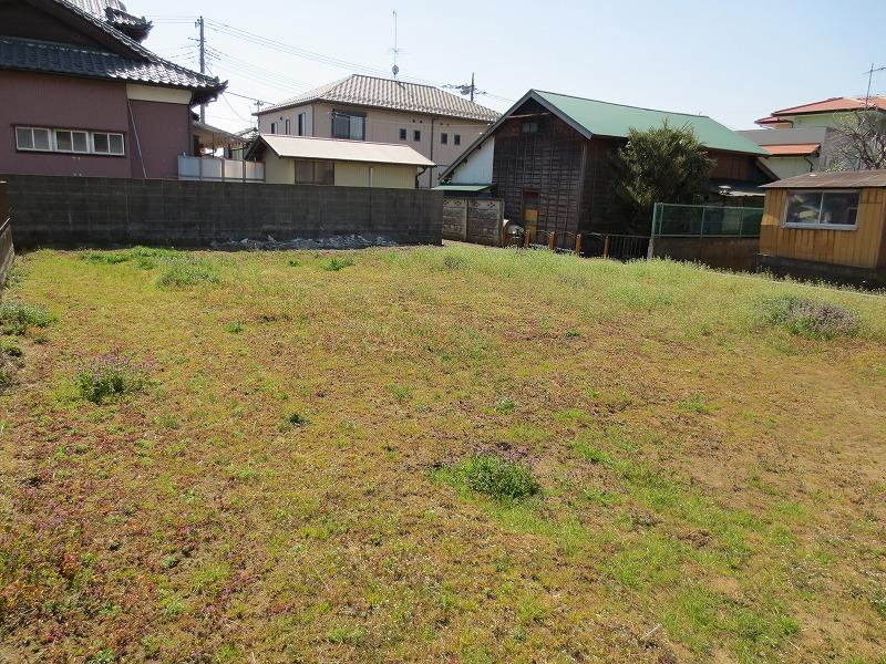 Local land photo. Local (March 2013) Shooting