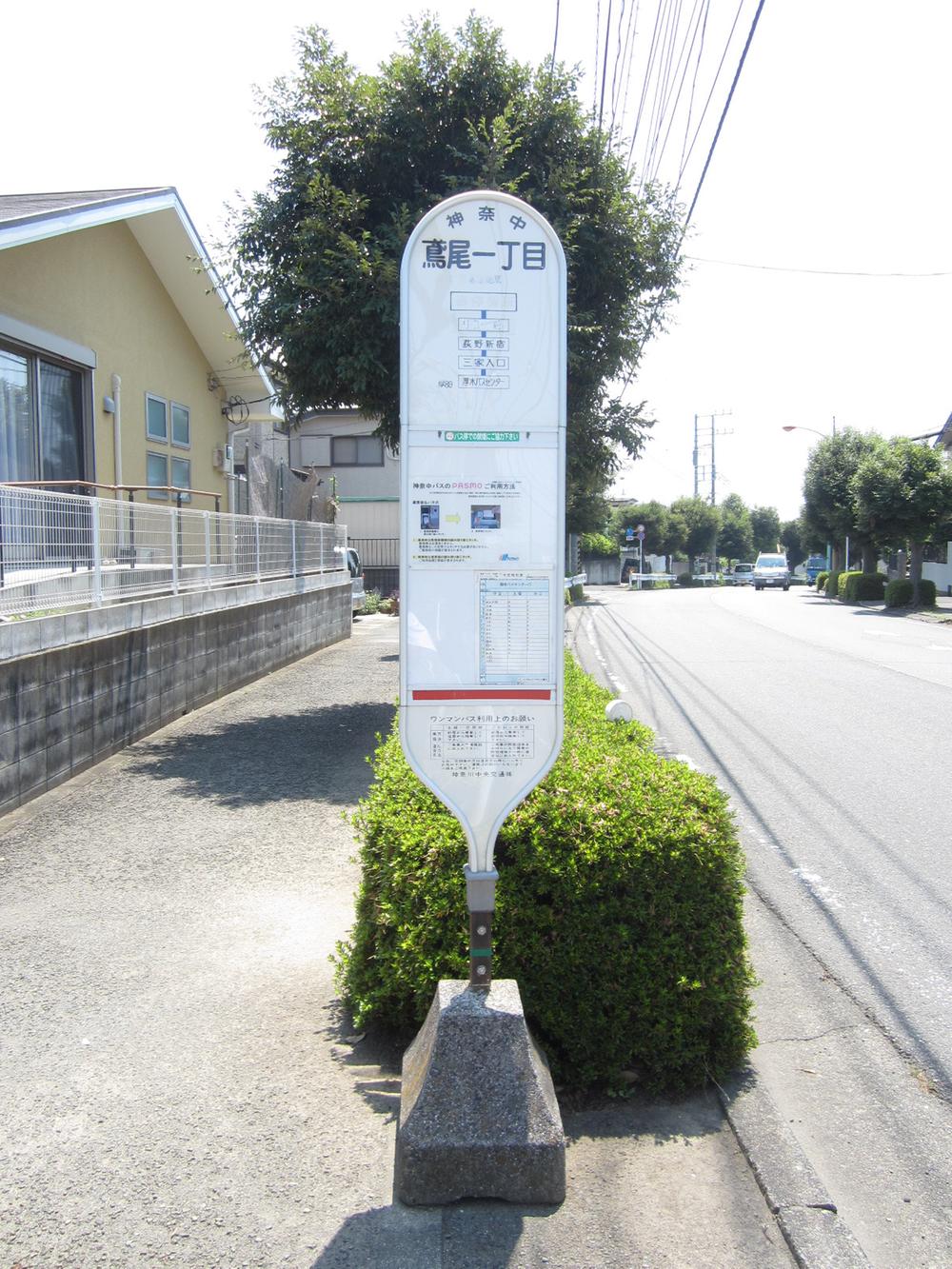 Other Environmental Photo. Roof iris 100m until chome bus stop