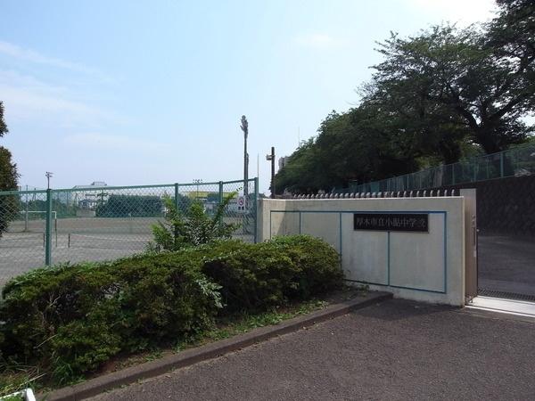 Junior high school. Small Ayu Junior High School