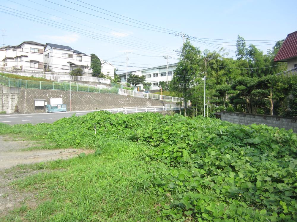 Local land photo. Local (July 2013) Shooting 