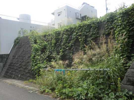 Local land photo. From local north