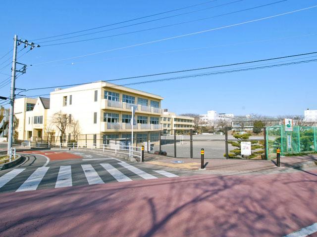 Primary school. 600m until early Gardens Elementary School