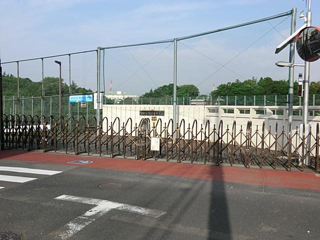 Junior high school. 1200m to the die junior high school of Ayase City North