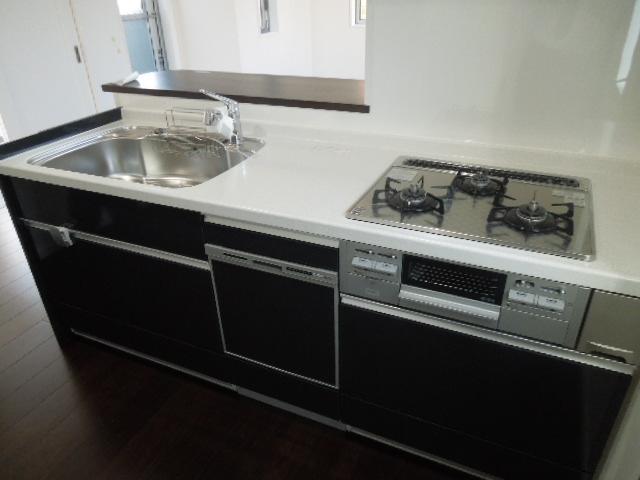 Kitchen. Indoor (11 May 2013) Shooting