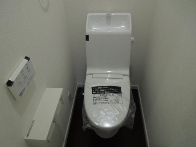 Toilet. Indoor (11 May 2013) Shooting