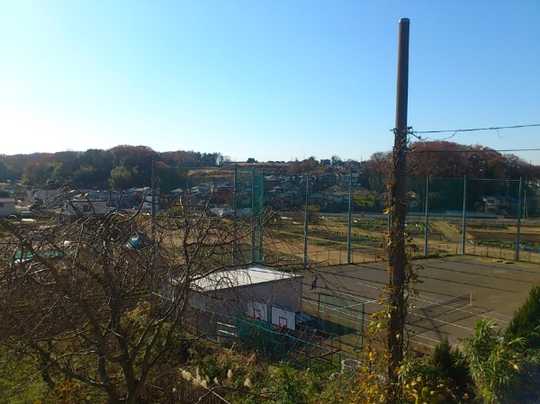 Local land photo. View (1)