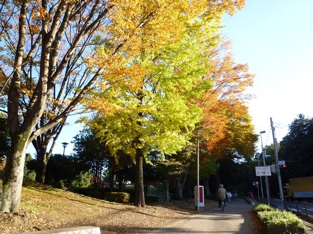 park. Until Hikariaya Sports Park 1189m