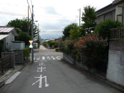 Local photos, including front road