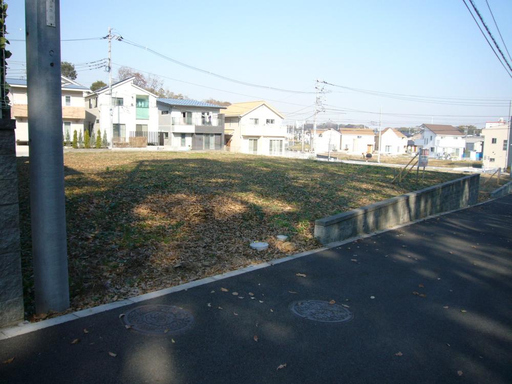 Local land photo. Local (12 May 2013) shooting south sidewalk