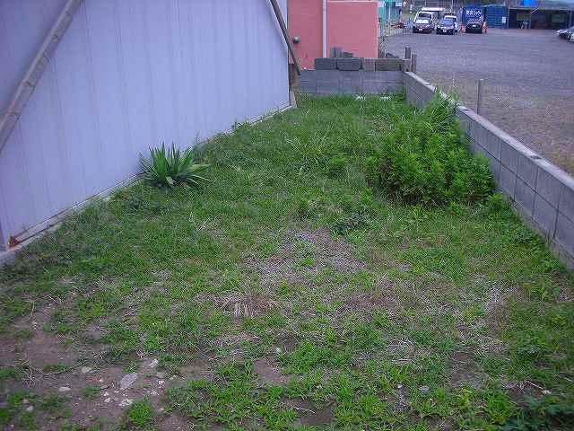 Local land photo. local