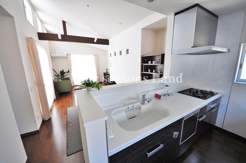 Kitchen. Indoor (March 2013) Shooting