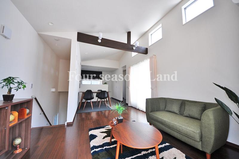 Living. Indoor (March 2013) Shooting