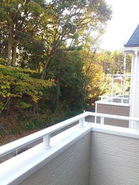 View photos from the dwelling unit