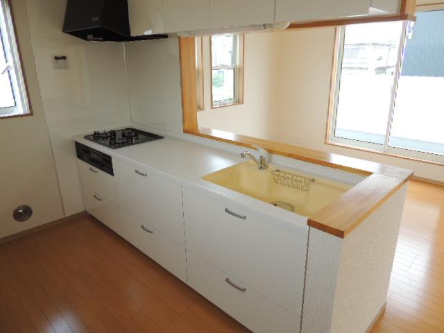 Kitchen. Indoor (11 May 2013) Shooting